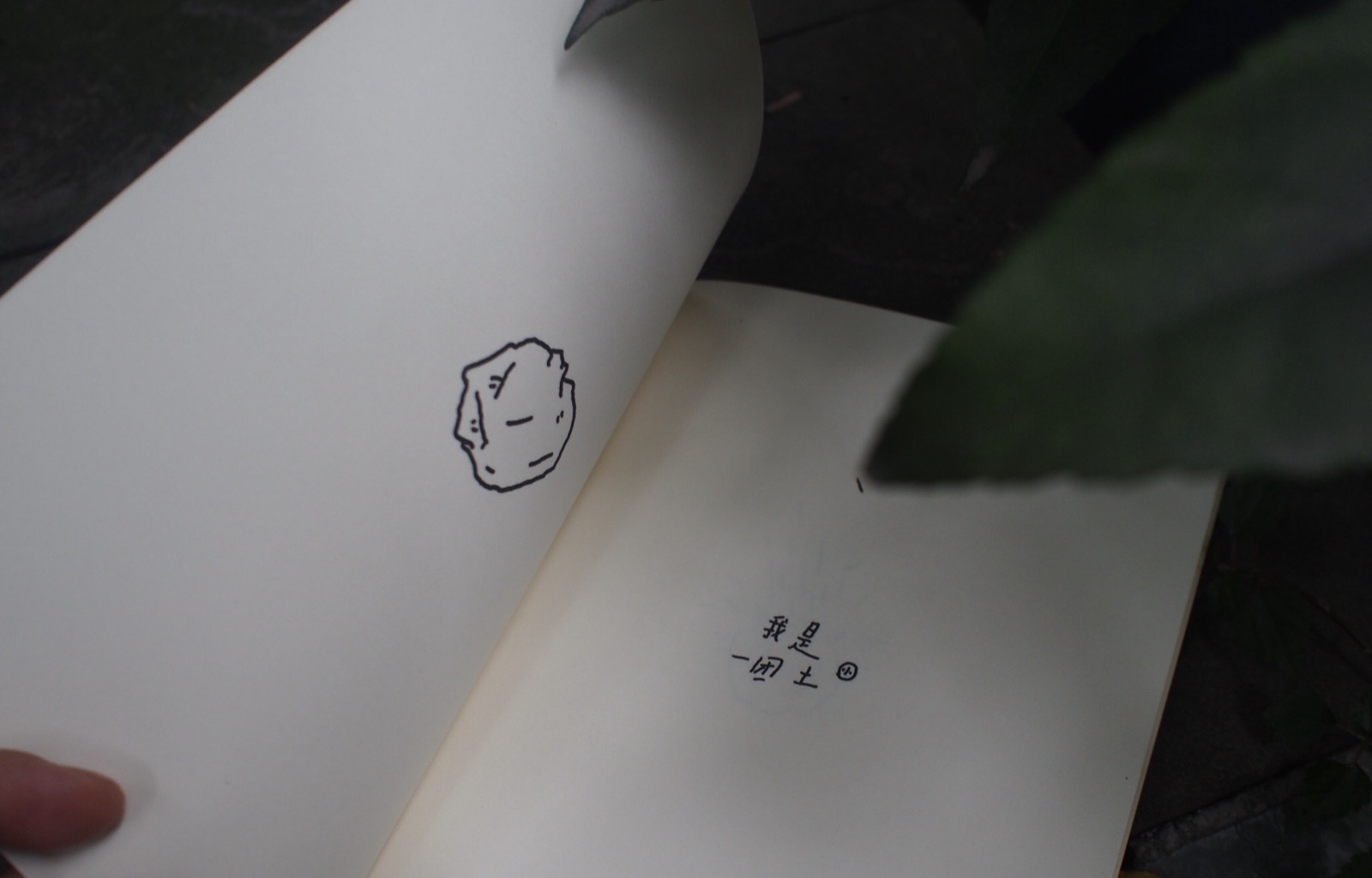 诗集作品图 2