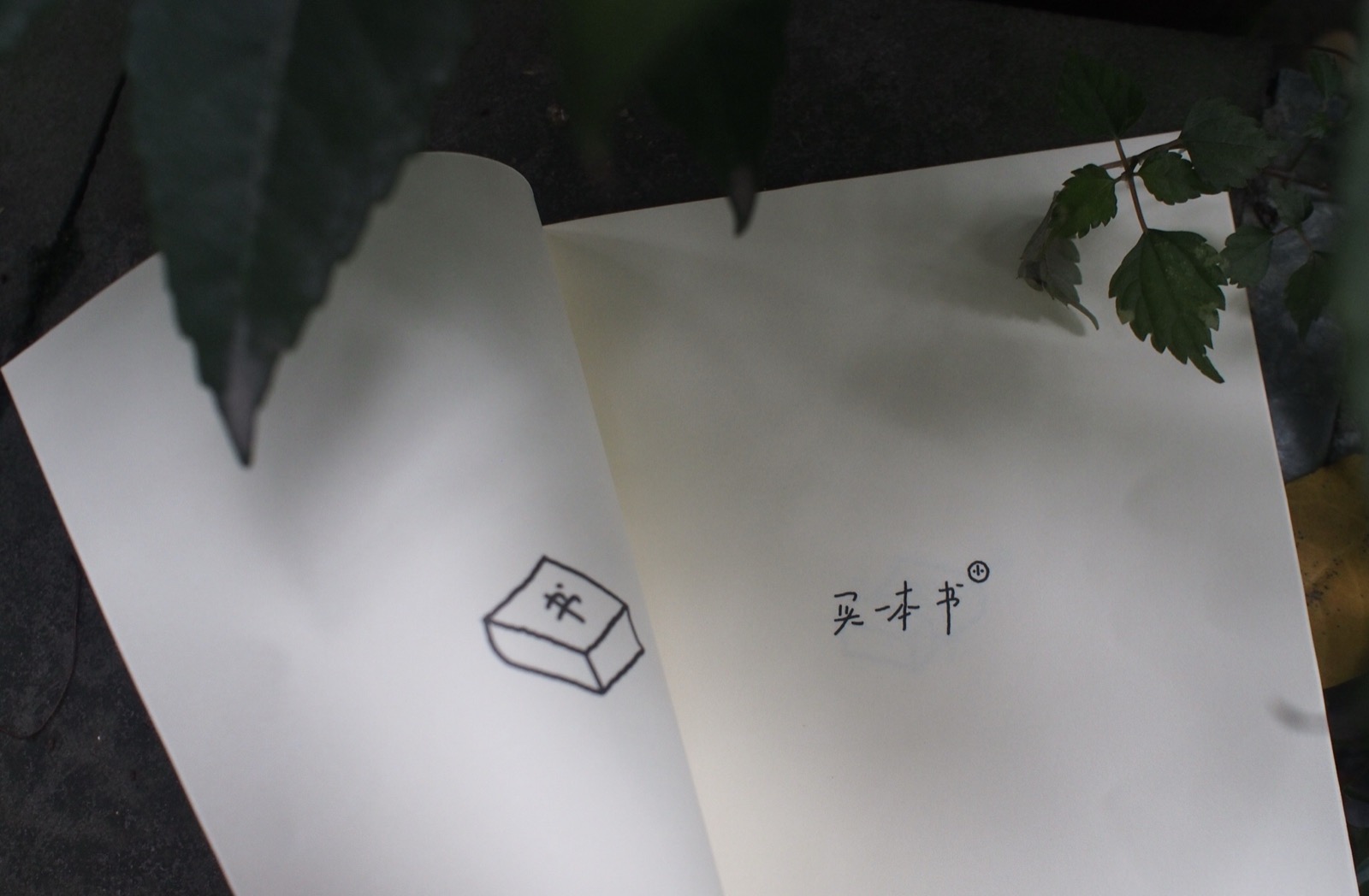 诗集作品图 3