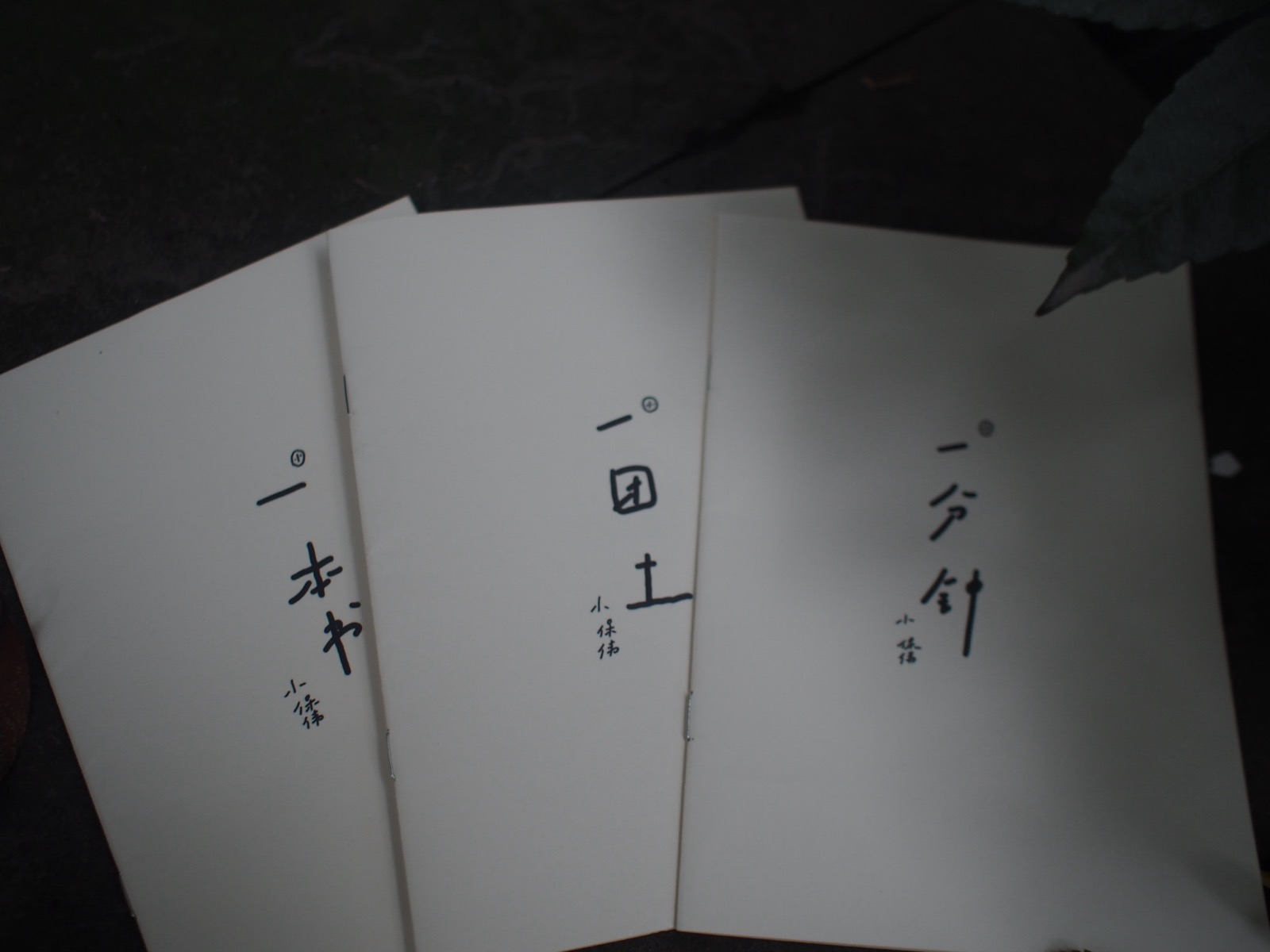 诗集作品图 4